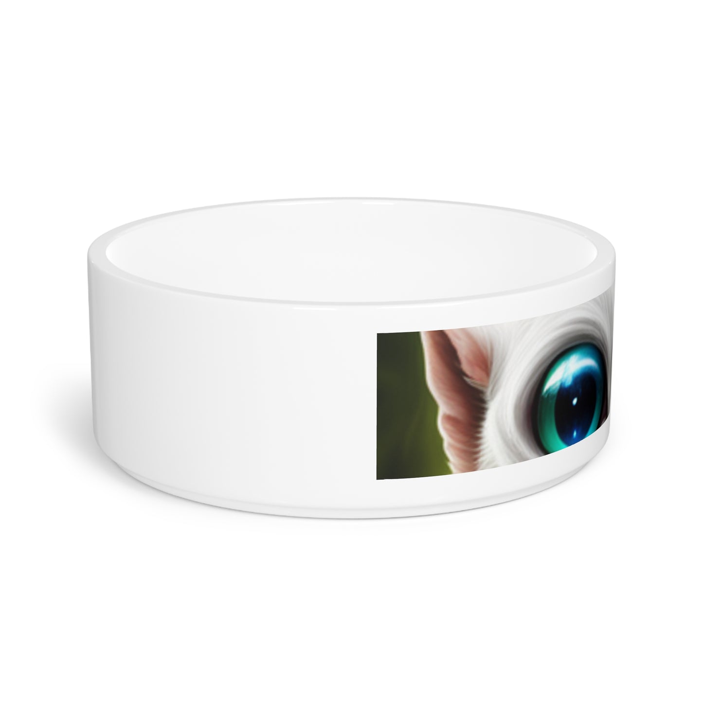 Pet Bowl