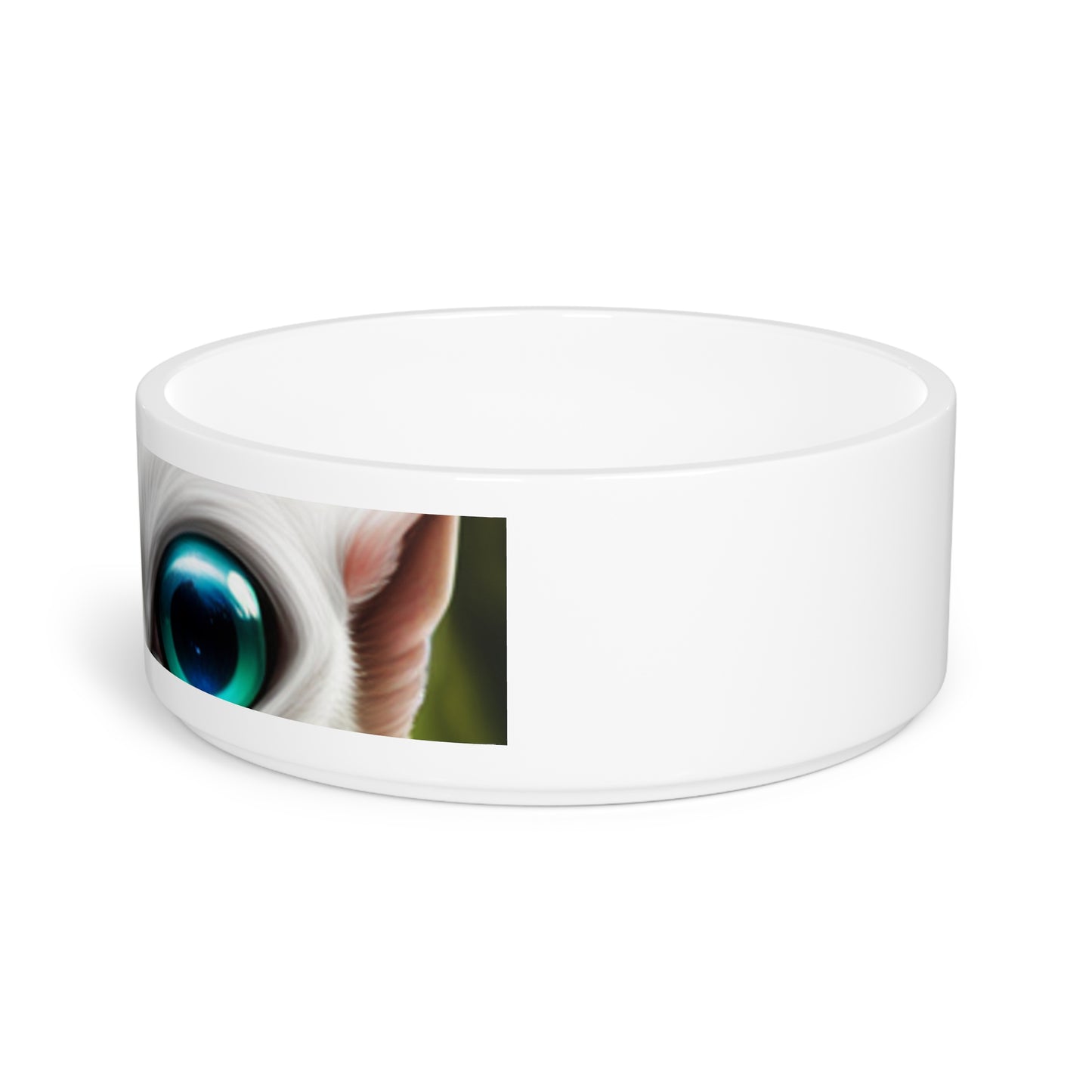 Pet Bowl