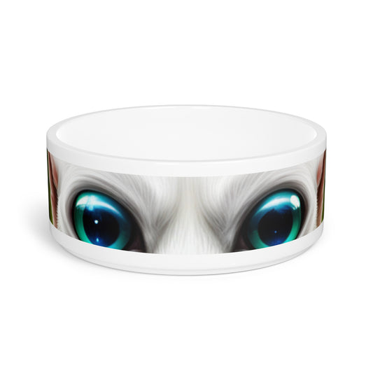 Pet Bowl